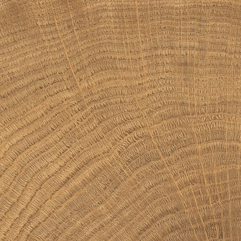 vtwonen Woodcirkle
