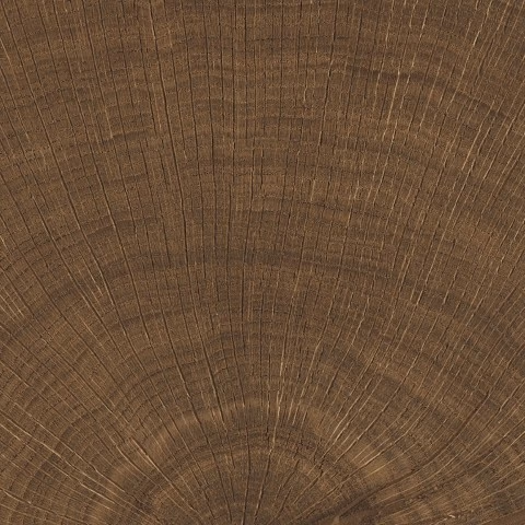 vtwonen Woodcirkle